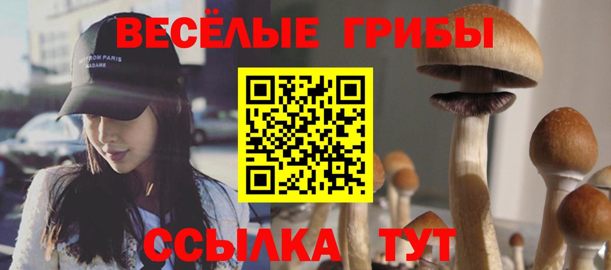 Псилоцибиновые грибы прущие грибы  Вход с VPN  дарнет шоп  Абакан 